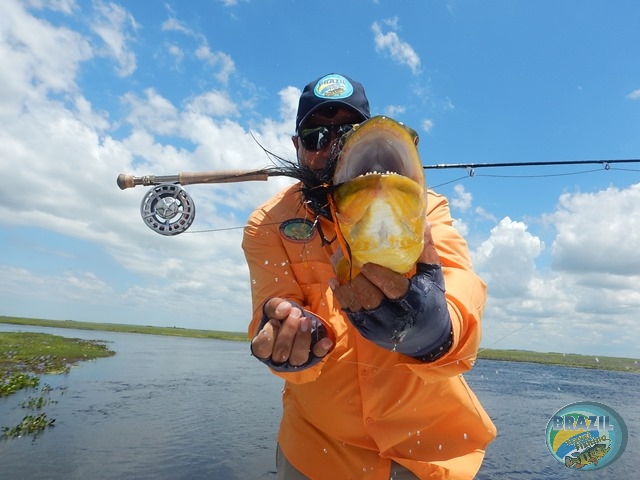 PIRA LODGE - Pantanal Argentino - Temporada 2.016